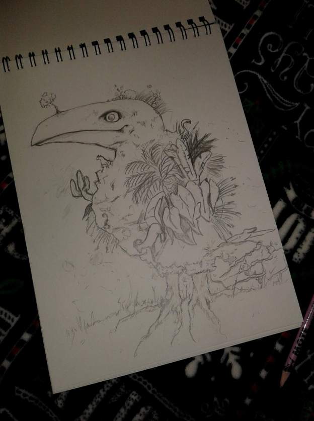 bird sketch